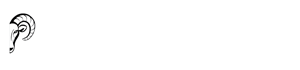 DeepAries AI